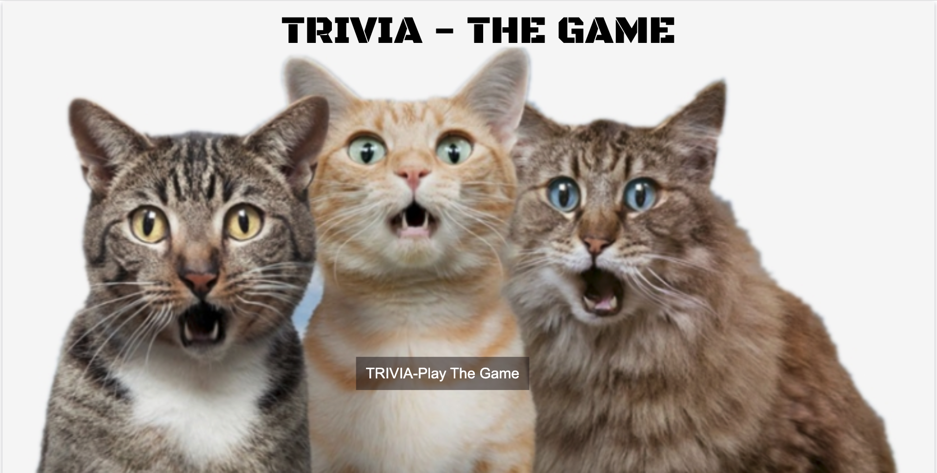 trivia